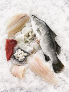 Commodity Seafood Line